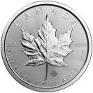 Stříbrná mince Maple Leaf 1 Oz 2021